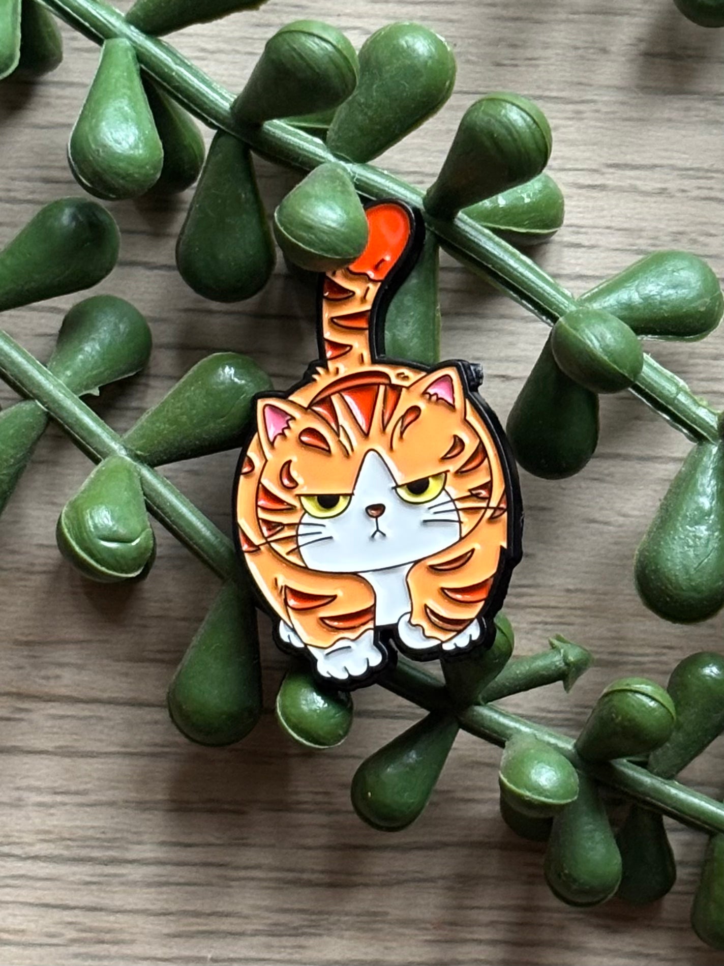 Orange grumpy cat Pin