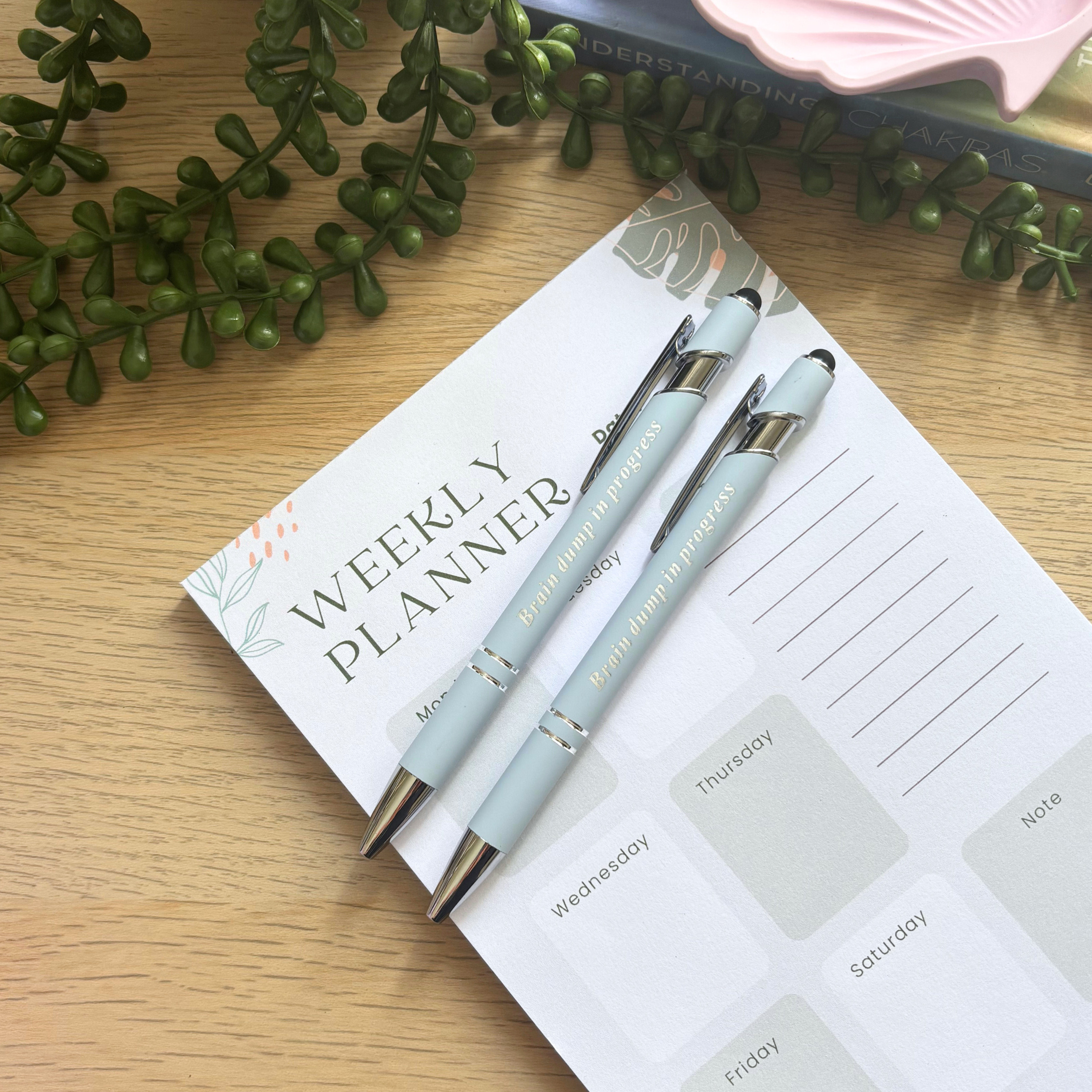 Light blue metal pen and stylus with gold accents resting on a weekly planner page with floral design and green plant.
