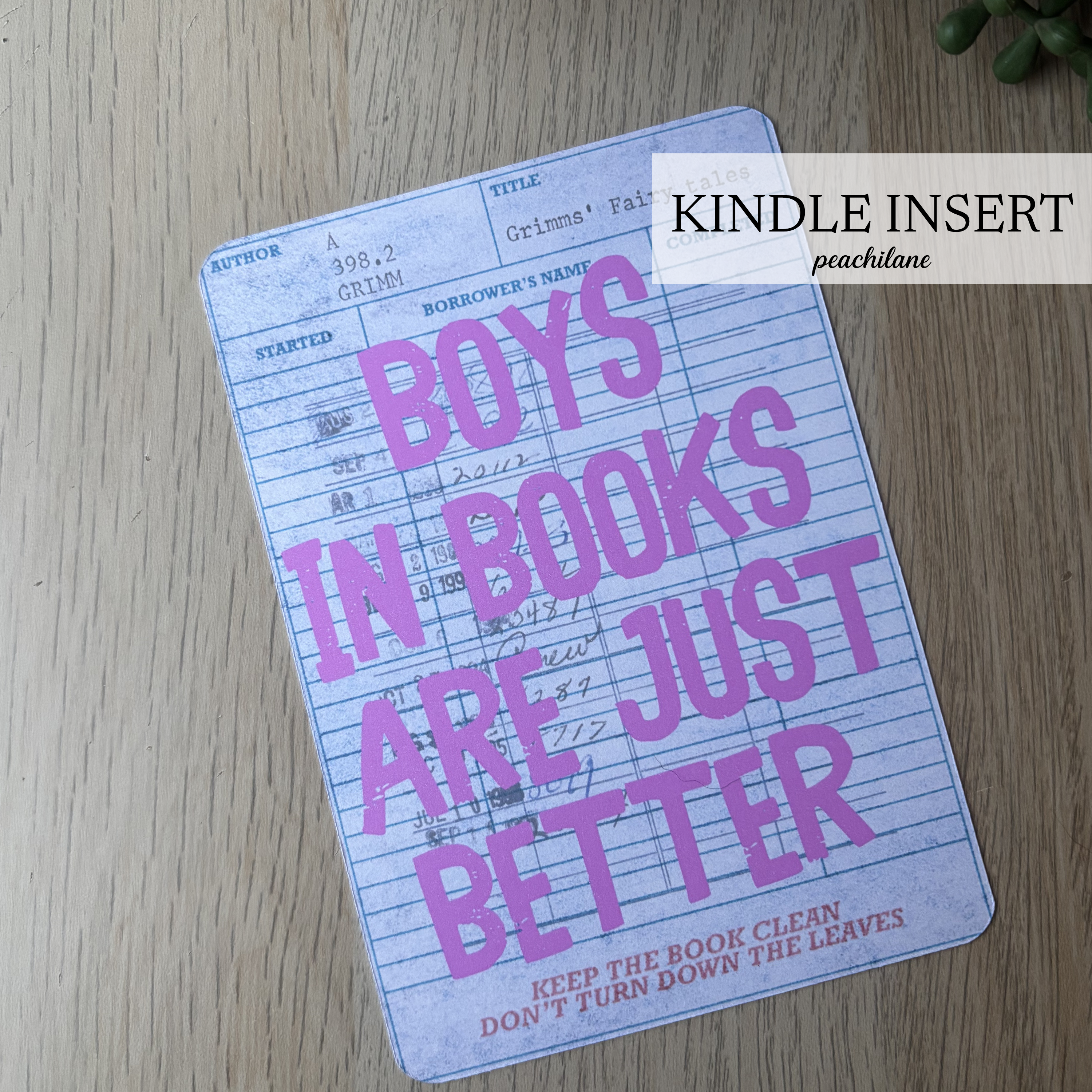 Boys in Books Insert