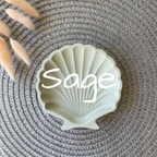 Airlie Shell Trinket Tray - Peachi Lane