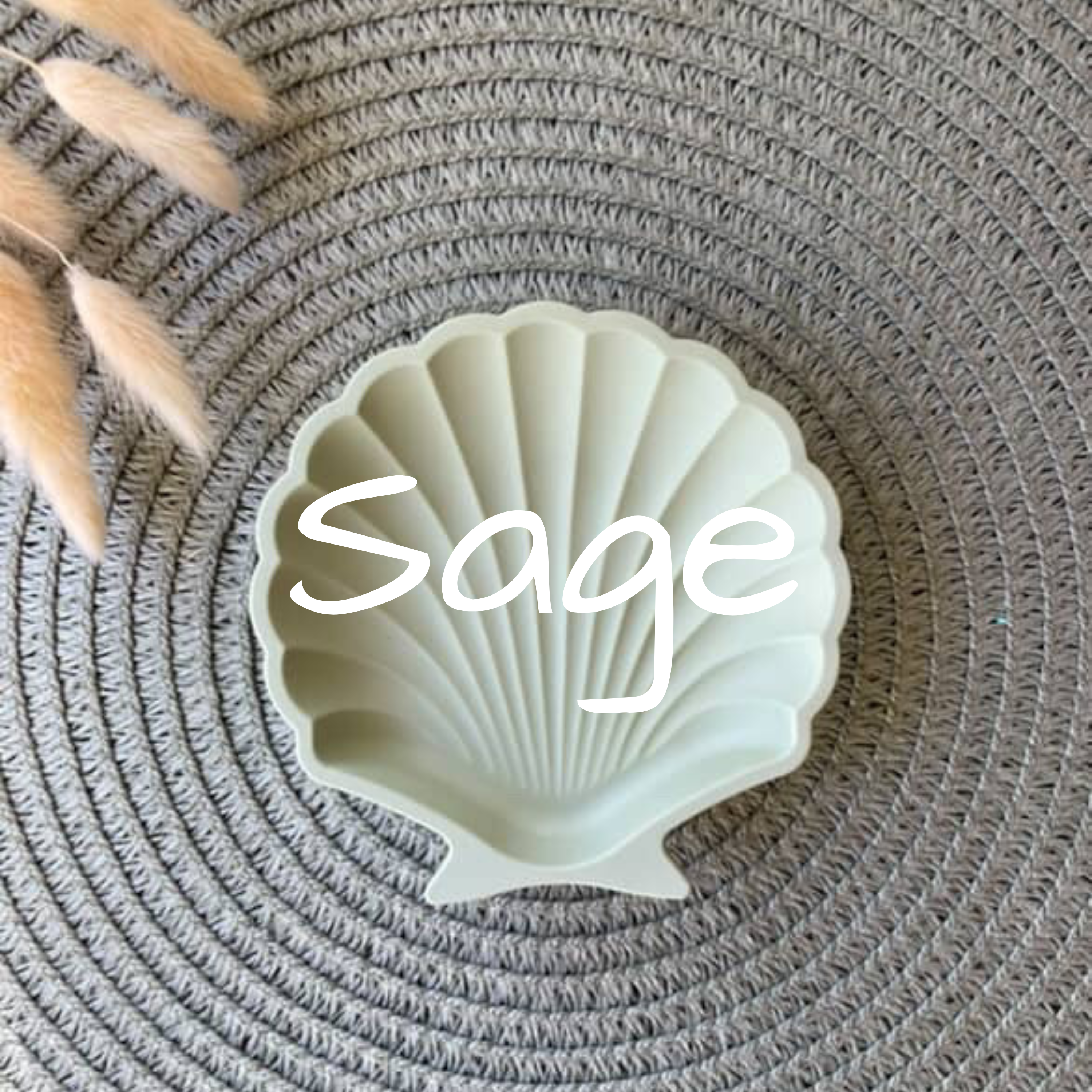 Airlie Shell Trinket Tray - Peachi Lane