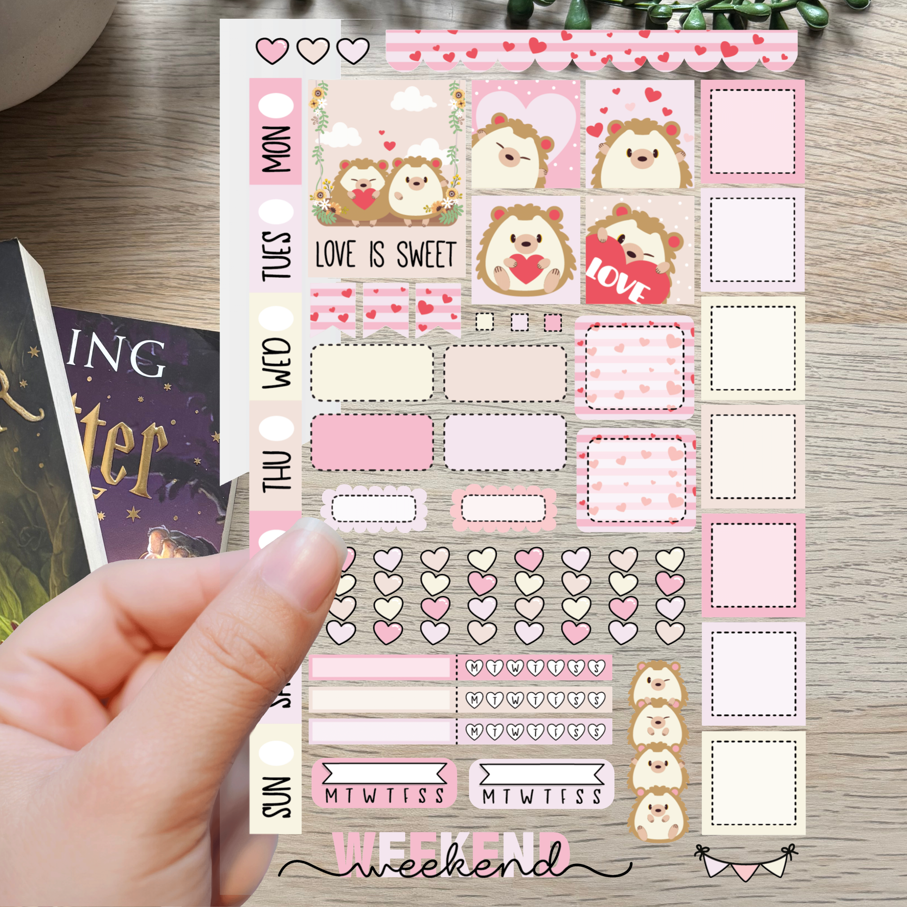 Plan So cute - Hedgehog 1 [Large Sticker sheet]