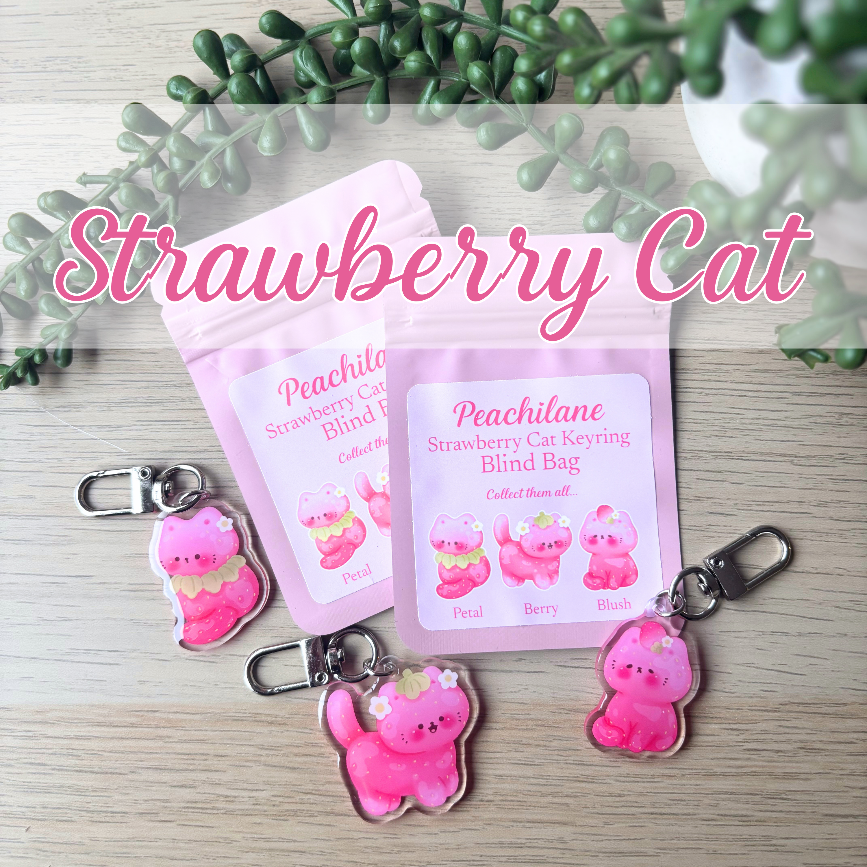 Strawberry Cat Blind Bag