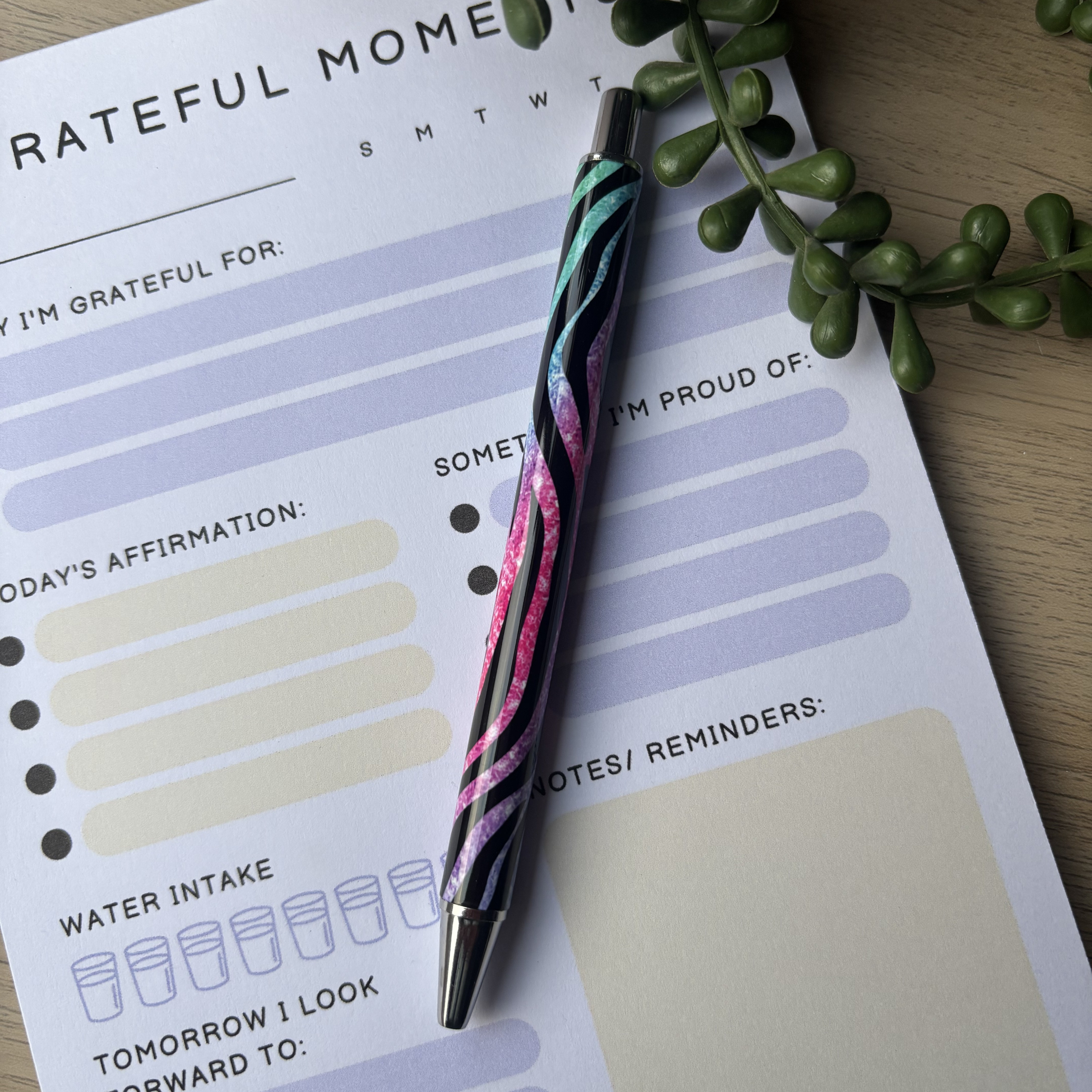 Rainbow Zebra Pen