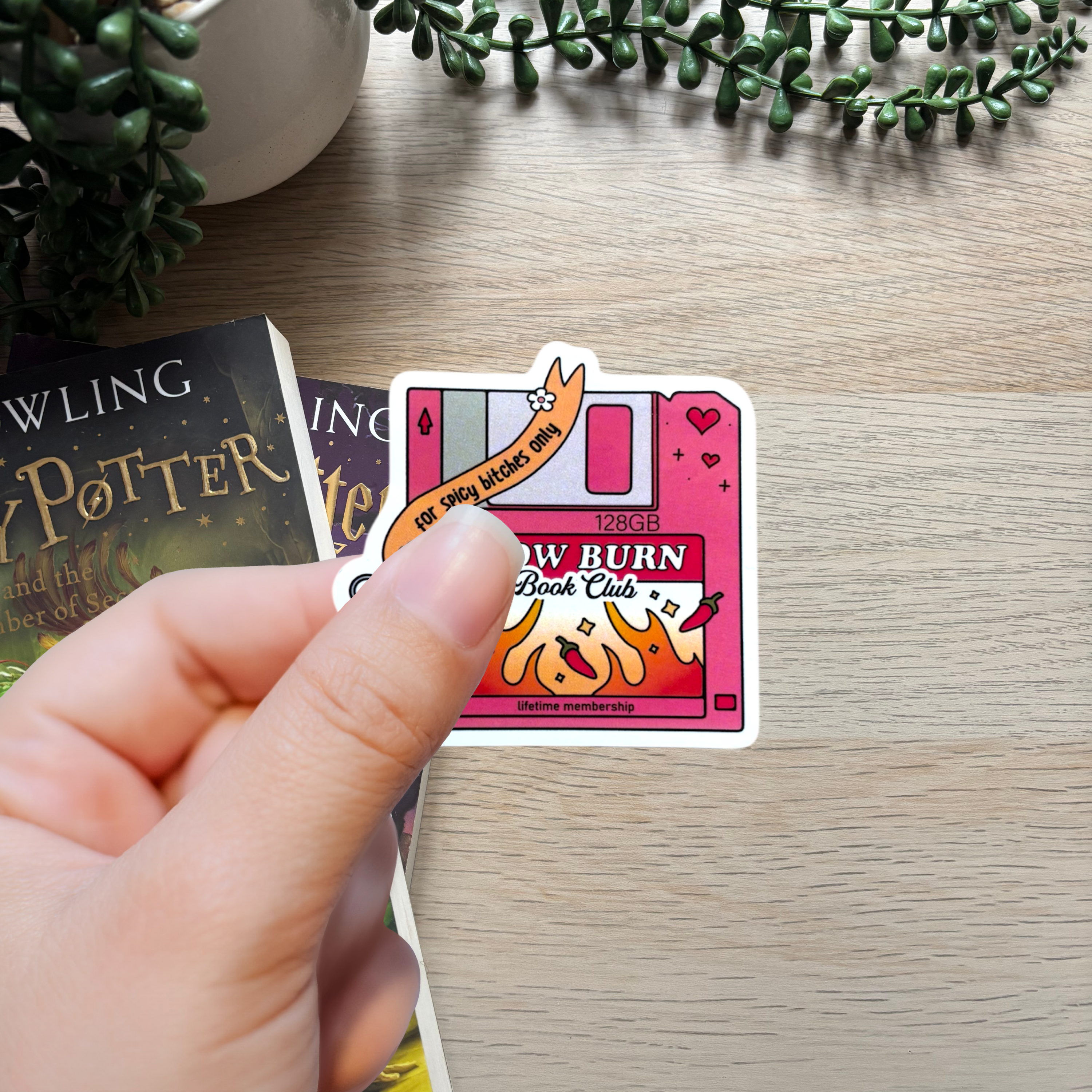 Slow Burn Disk Sticker