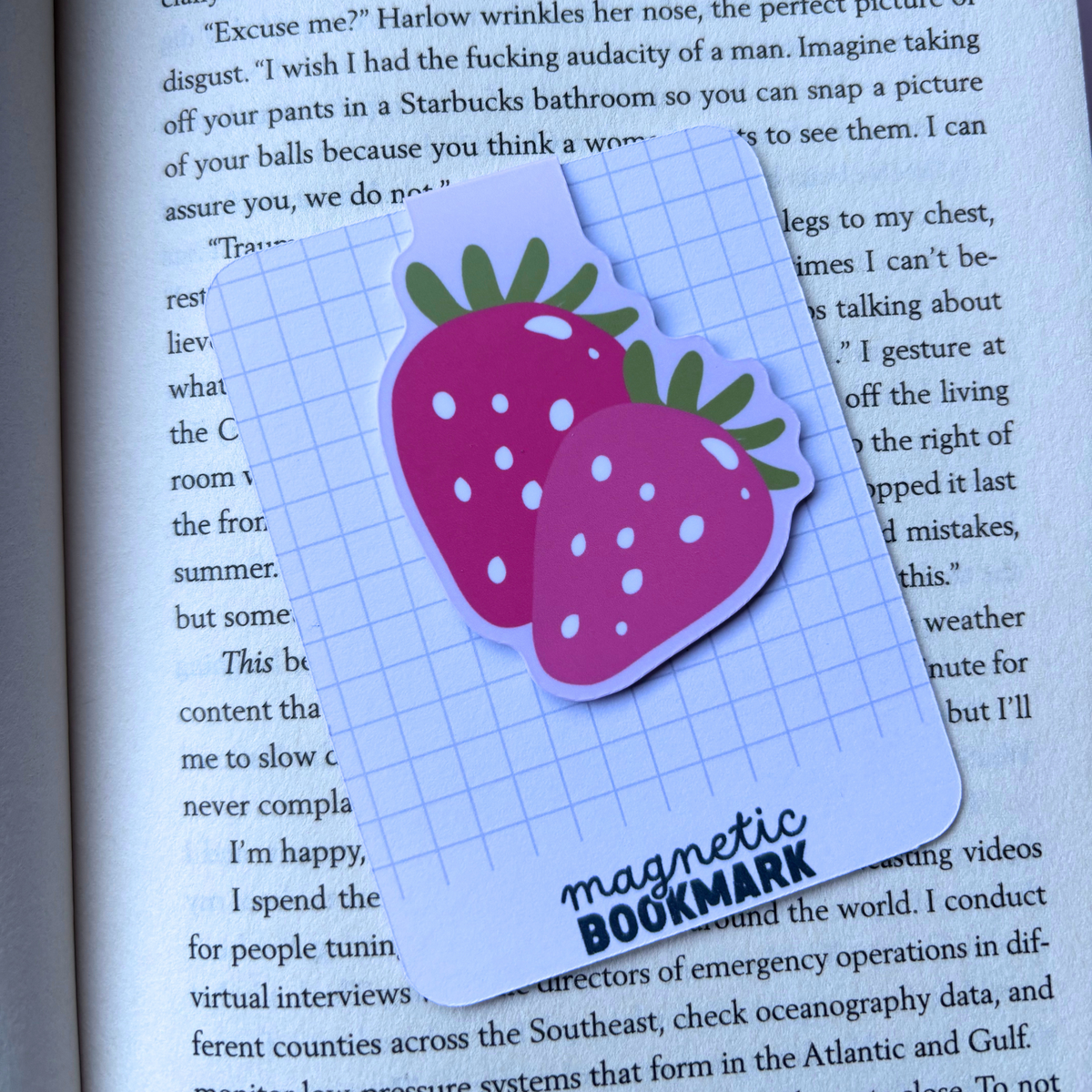 Strawberry | Magnetic Bookmark