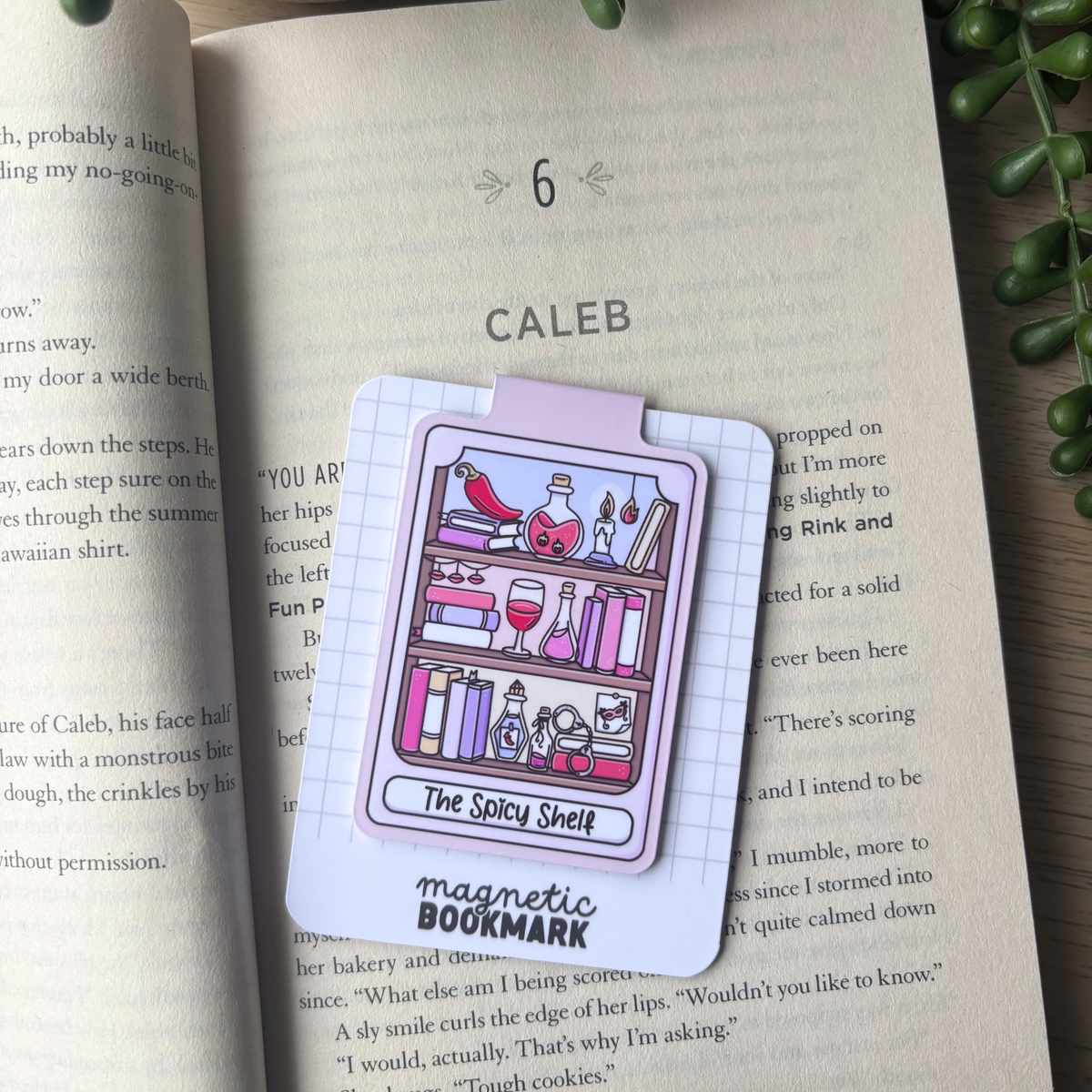 Spicy Bookshelf | Magnetic Bookmark