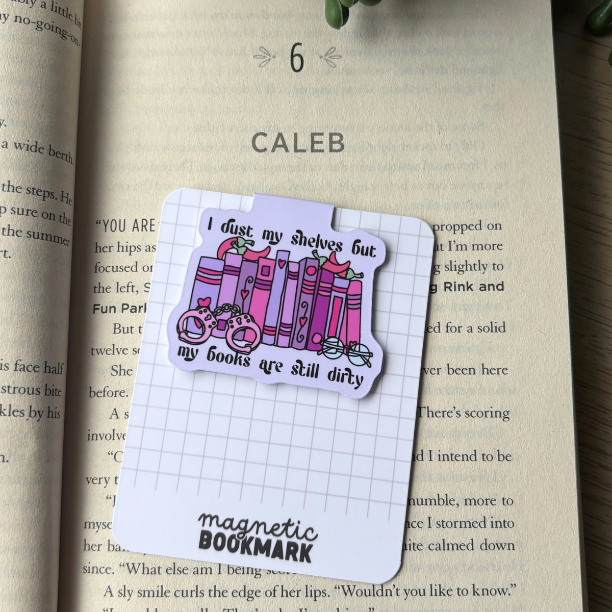 Dirty Books | Magnetic Bookmark