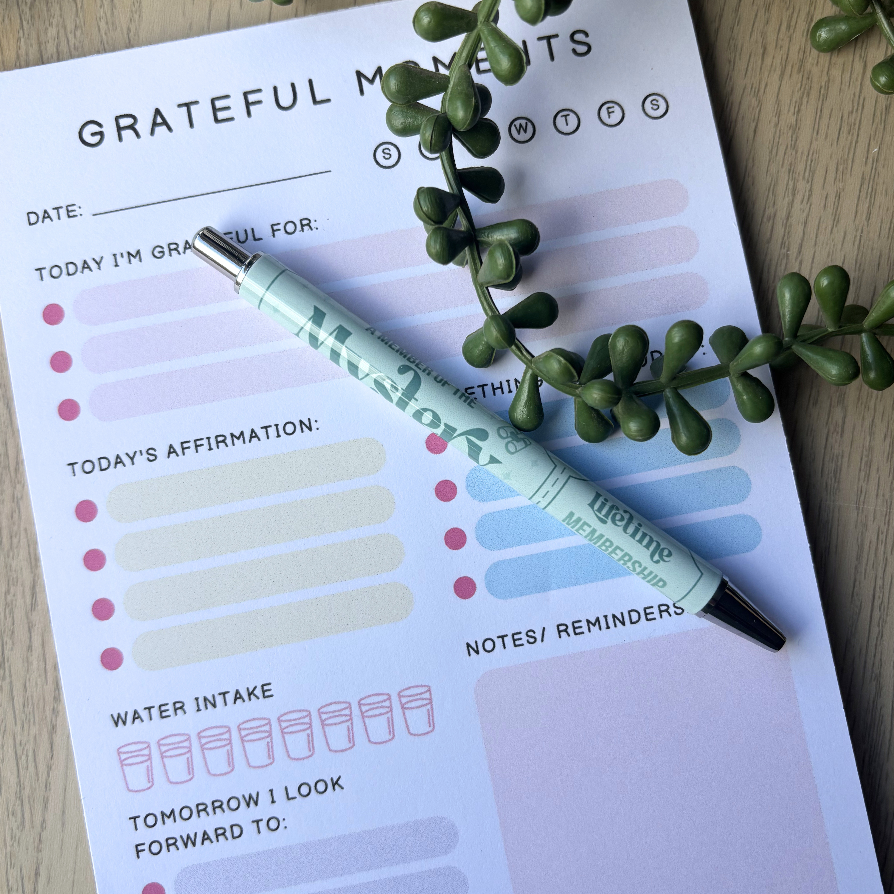 Mystery Lifetime membership pen